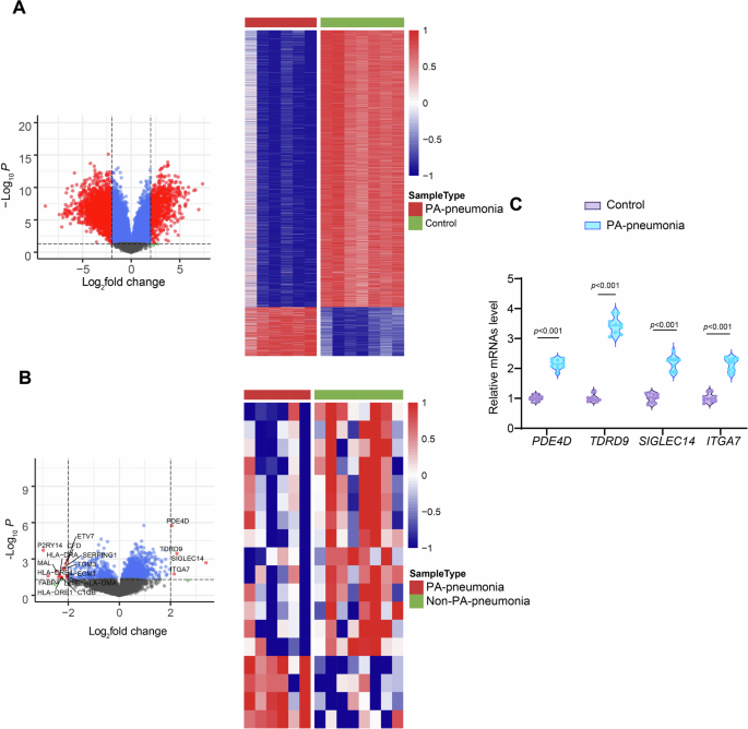Fig. 1: Transcriptomic profiling of differentially expressed genes in pneumonia patients.