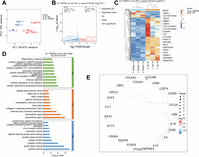 Fig. 6: Transcriptomic landscape of Tudor domain-containing protein 9 (TDRD9)-regulated pathways in human neutrophils.
