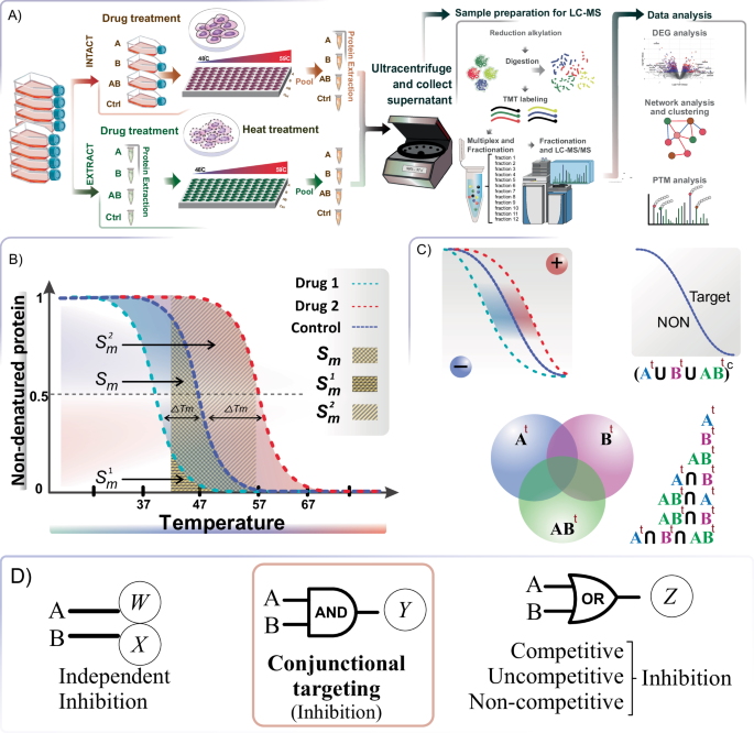 Fig. 1: CoPISA workflow and possible states for target discovery in combinatorial therapy.
