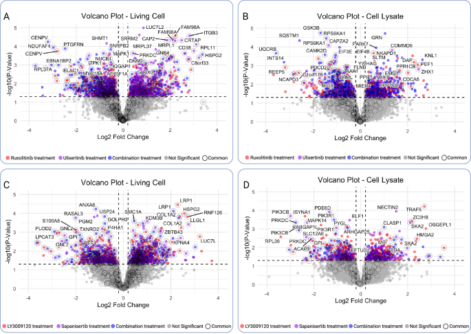 Fig. 3: Volcano plots reveal protein targets identified by the CoPISA method in lysate and living cell treatments with drug combinations.