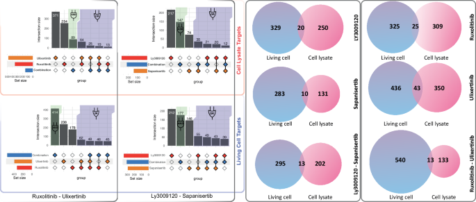 Fig. 4: Comparison of protein targets identified in lysates and living cells across drug treatments.
