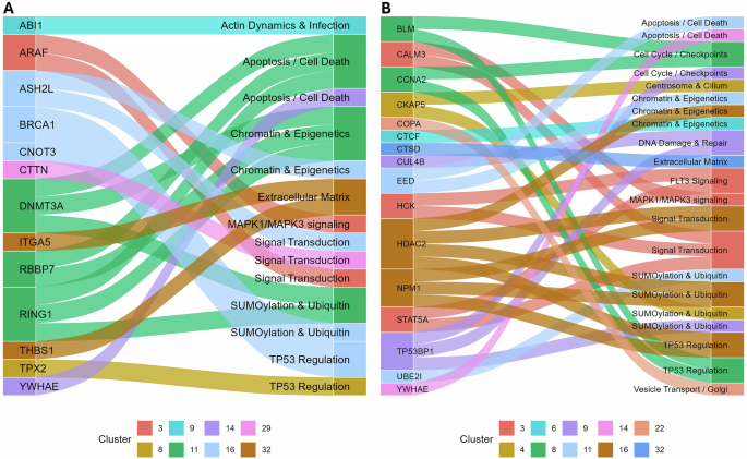 Fig. 9: Pathway enrichment for LS- and RU-specific AML genes.
