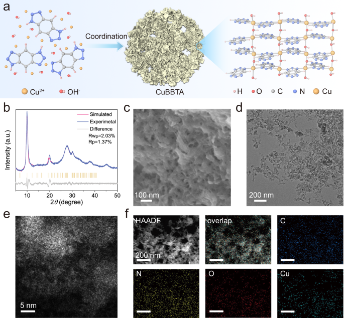 Fig. 1: Design scheme and structural characterizations.