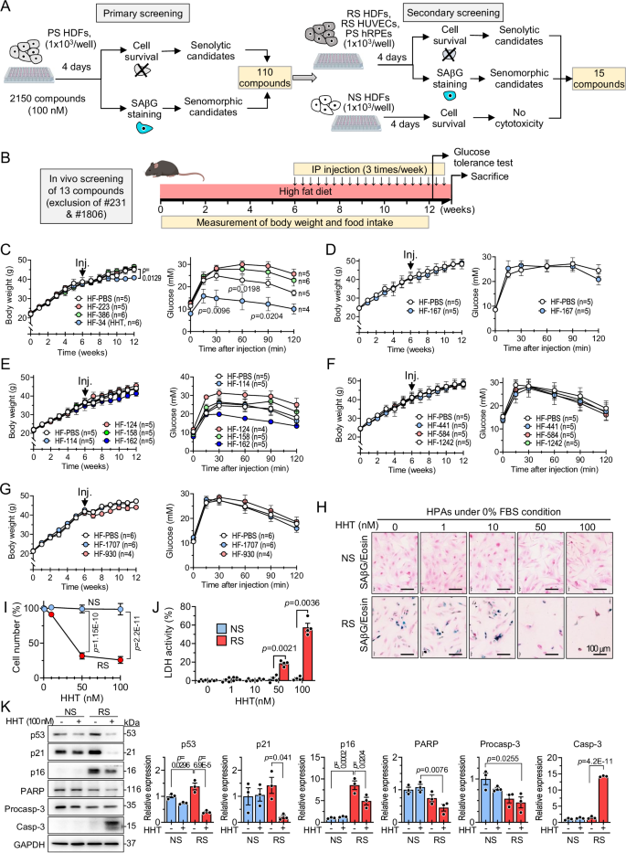 Fig. 1: Identification of HHT as a novel senotherapeutic.