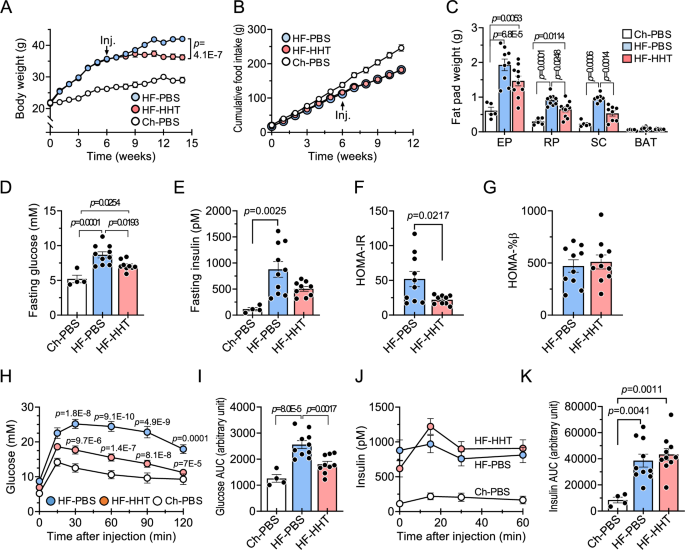 Fig. 2: HHT prevents weight gain and improves insulin resistance in HF-fed mice.
