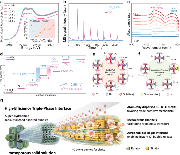 Fig. 5: In situ characterizations and theoretical calculations.