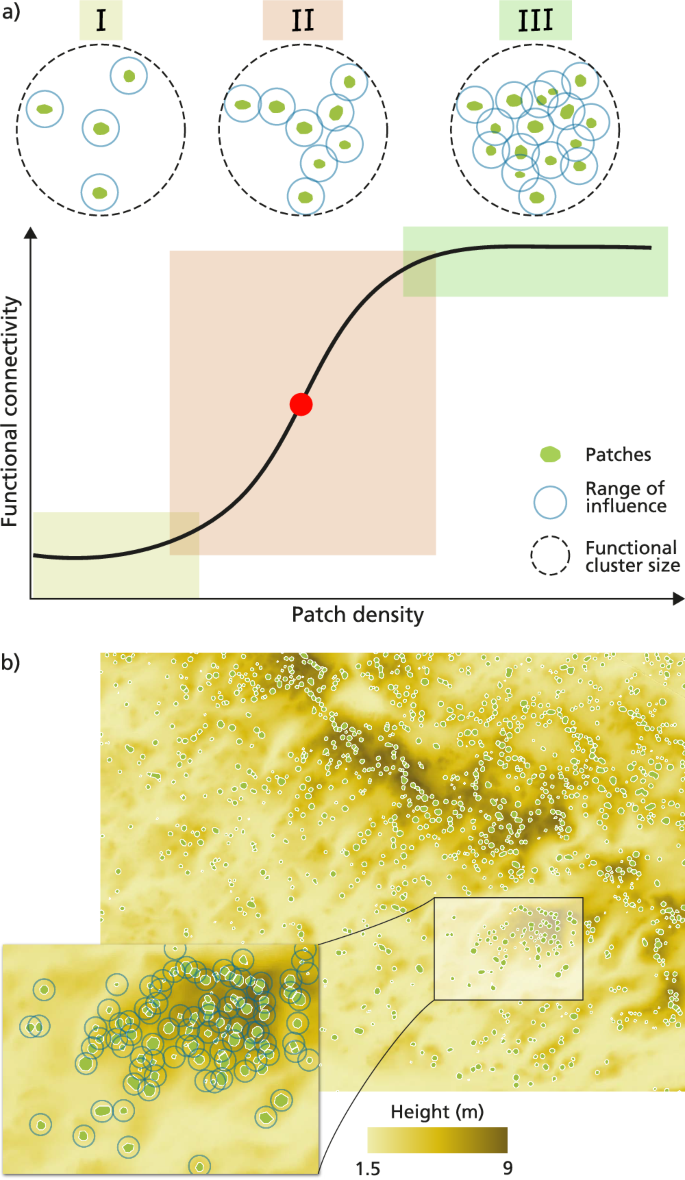 Fig. 4: Conceptual model illustrating how vegetation patch density controls functional connectivity and leads to a percolation-like transition.