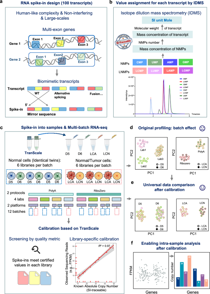 Fig. 1: A metrological framework for absolute and comparable RNA quantification.
