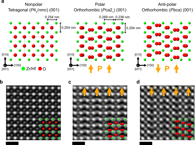 Fig. 1: Atomic-structure model and atomic-resolution OBF STEM images of polar/non-polar phases in (H)ZO membranes.