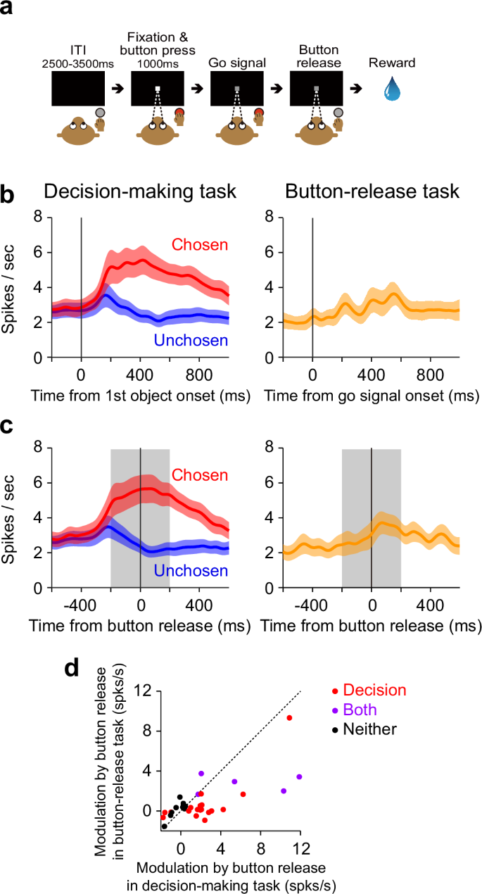 Fig. 3: Neuronal modulation evoked by simple motor action.