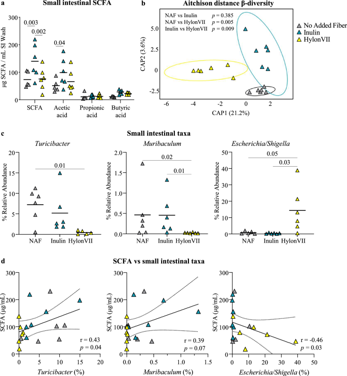 Fig. 4: Inulin increases small intestinal SCFA in gluten-sensitized SPF NOD/DQ8 mice.