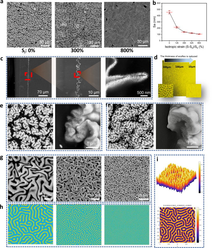 Fig. 3: Investigation into the exceptional properties of BdMI.