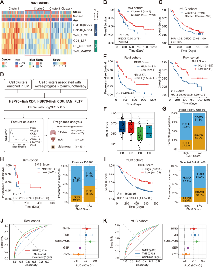 Fig. 8: Development and validation of Brain Metastasis-derived Immune Signature (BMIS) associated with immunotherapy outcomes across cancer types.