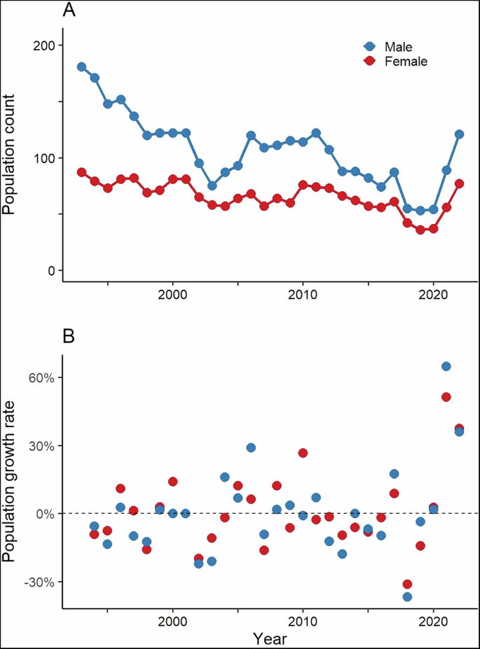 Fig. 1: Population dynamics of male and female superb fairy-wrens.
