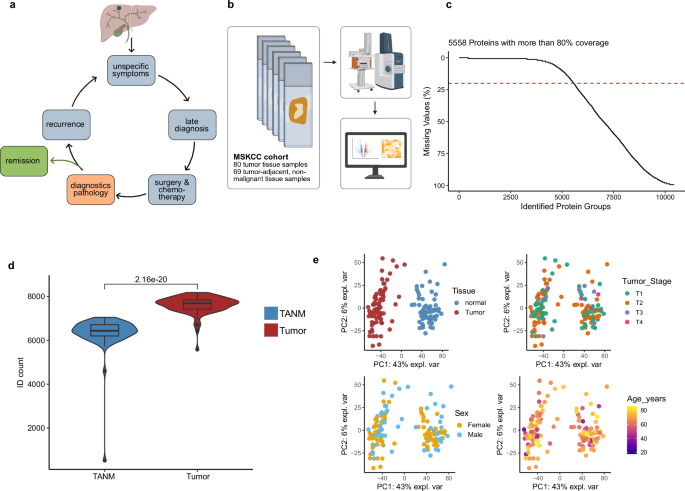 Fig. 1: Cohort overview.
