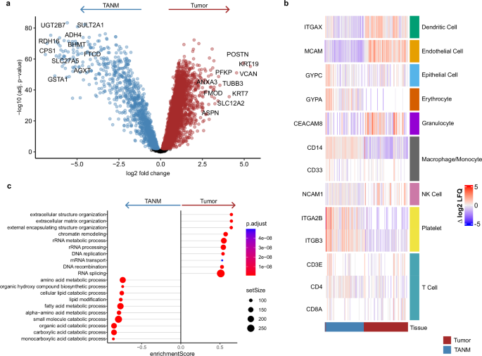 Fig. 2: Tumor vs. TANM tissue.