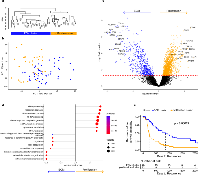 Fig. 3: Hierarchical clustering.