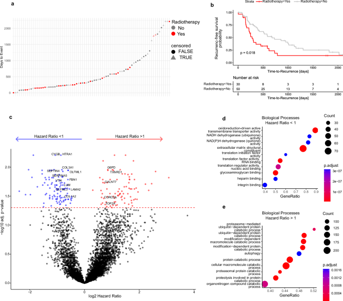 Fig. 4: Survival statistics.