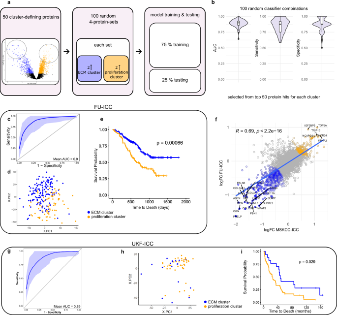 Fig. 5: Classification model.