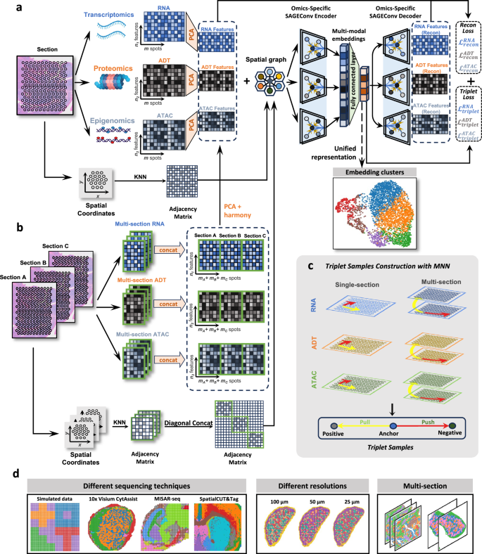 Fig. 1: Framework of SMART designed for spatial multi-omics integration.