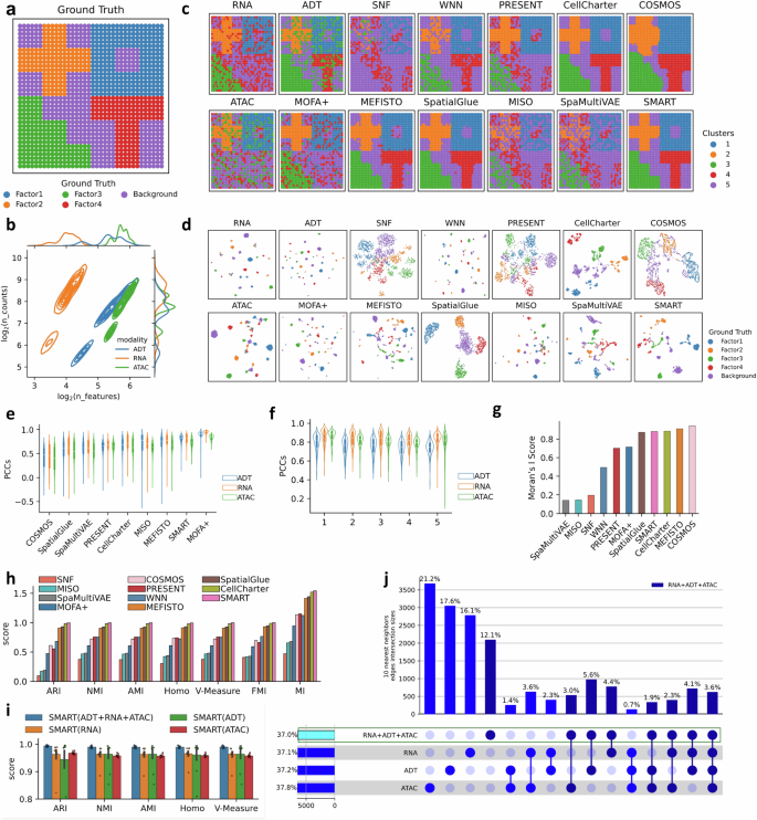 Fig. 2: Integration of simulated multi-omics data using SMART for accurate spatial region identification.
