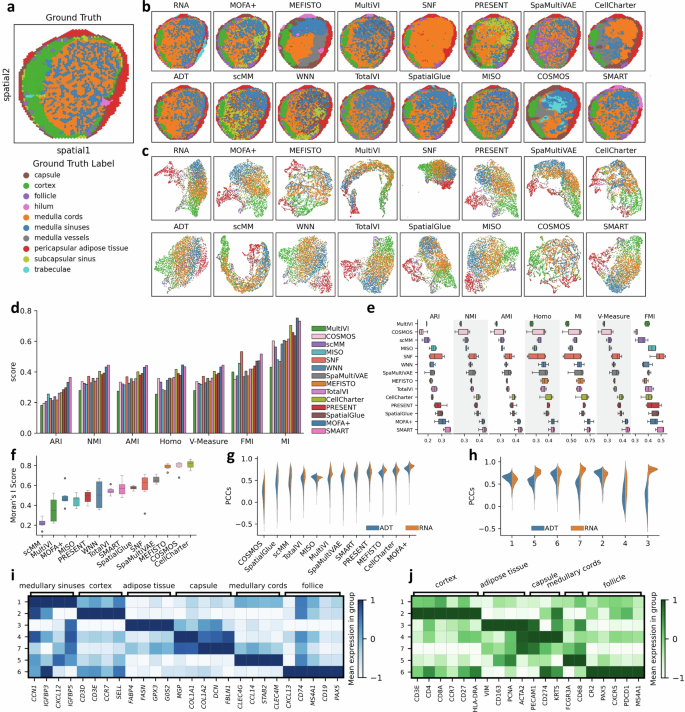 Fig. 3: Integration of 10X Visium CytAssist Gene and Protein co-profiling multi-omics data human lymph node section A1 using SMART.