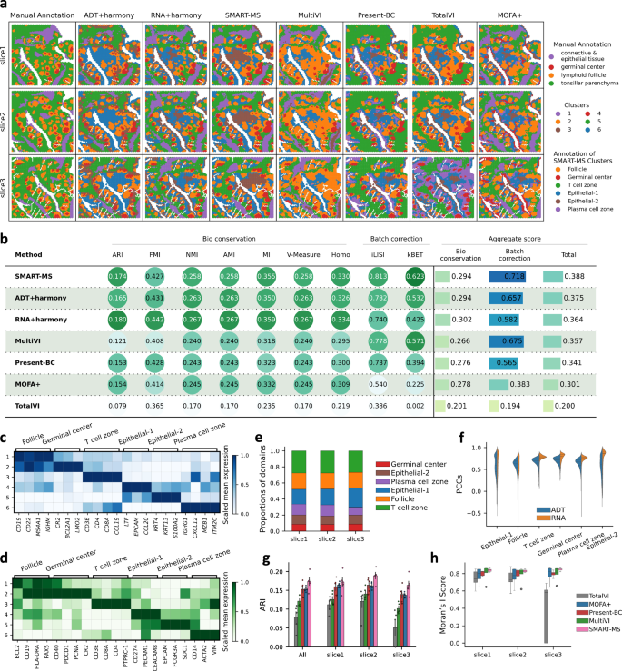 Fig. 6: SMART-MS integrates multi-omics and multi-section data while effectively removing batch effects.