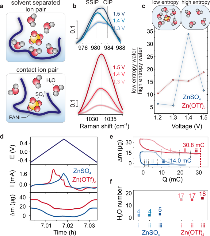 Fig. 3: Water interaction with PANI.