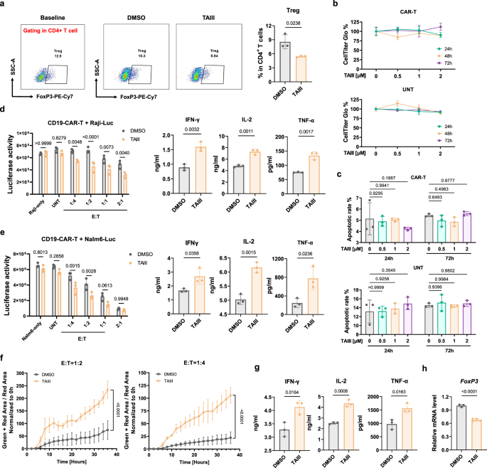 Fig. 2: TAIII enhances the antitumor efficacy of CAR-T cells through eliminating FoxP3+ Treg cells in vitro.