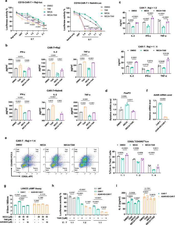 Fig. 5: TAIII reduces CAR-Tregs and improves CAR-T cell activity through blocking A2AR.