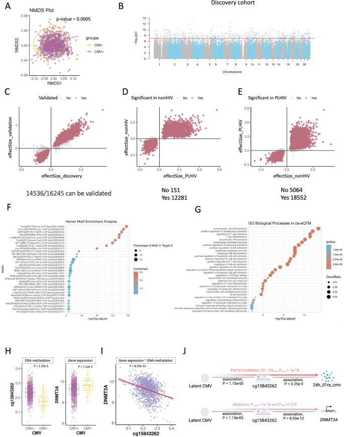 Fig. 2: CMV-associated signatures, methylation analysis.
