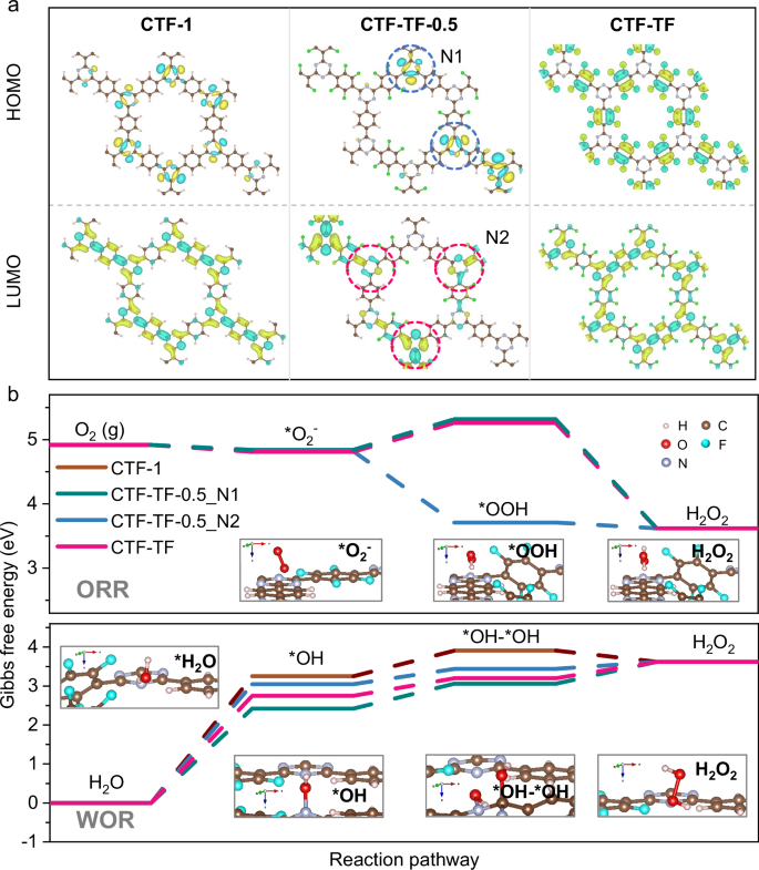 Fig. 2: Theoretical simulation of oxidation-reduction sites in CTFs with F substituent coordination.