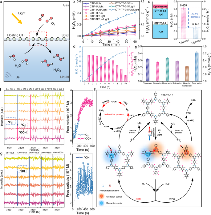 Fig. 5: Heterogeneous interfacial H2O2 photosynthesis and its reaction mechanism.