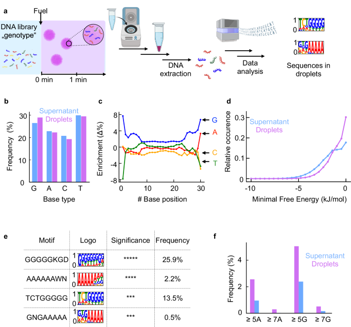 Fig. 3: Sequencing the combined droplets genotype.