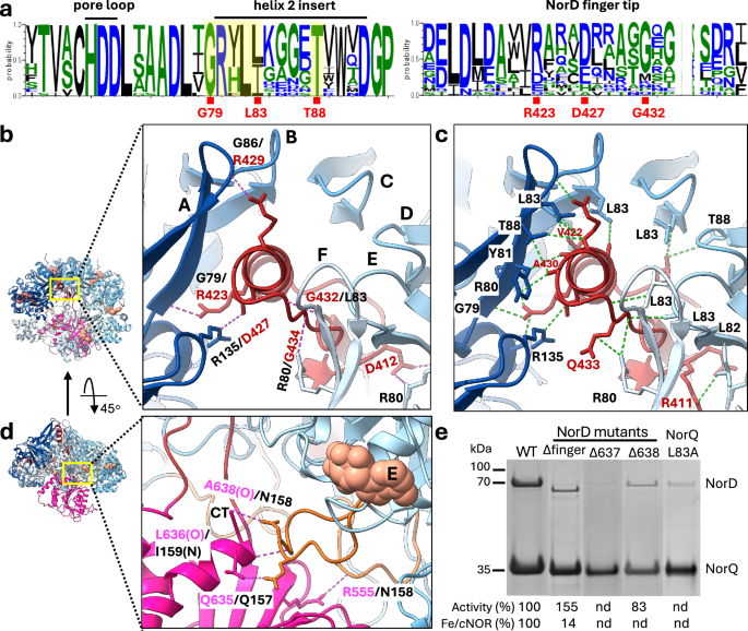Fig. 2: Interactions between PdNorQWB and PdNorDVWA.