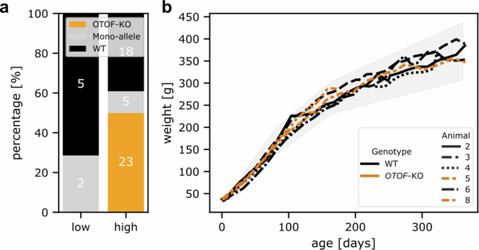 Fig. 3: Efficiency of CRISPR/Cas9 OTOF editing and normal body weight gain pattern of the produced offspring.