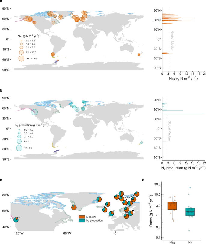Fig. 1: Global distribution of fjord nitrogen burial and N2 production rates.