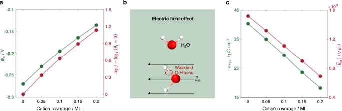 Fig. 4: Cation adsorption effects on local potential and electric field.