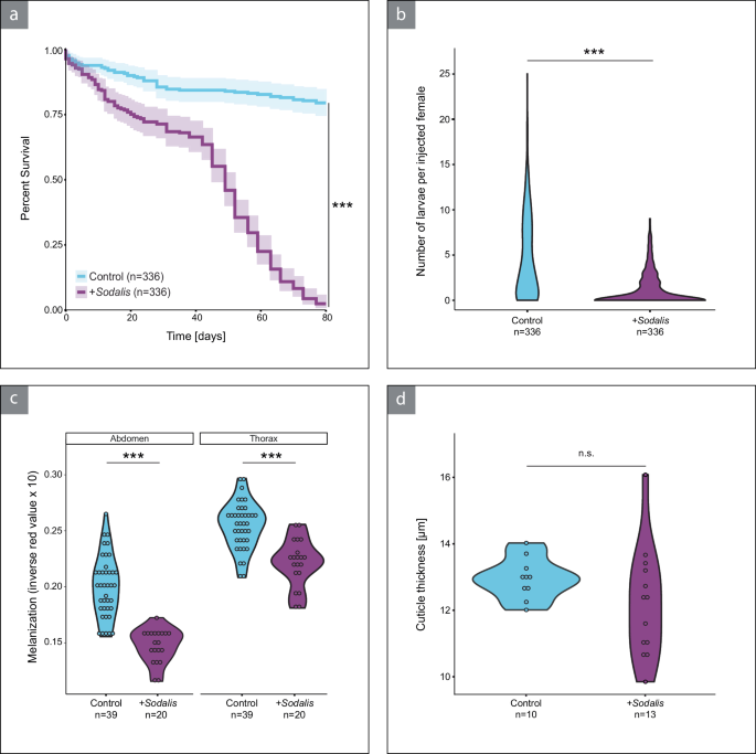 Fig. 2: Infection with Sodalis has a negative impact on host fitness.
