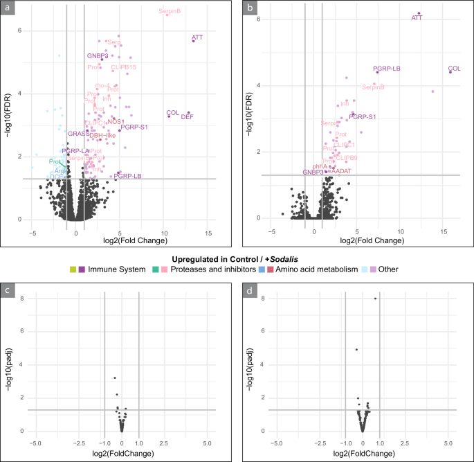 Fig. 5: Sodalis infection significantly affects host but not Shikimatogenerans gene expression.