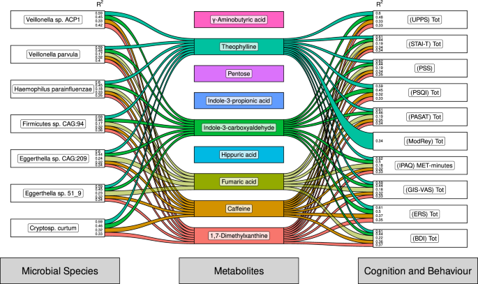 Fig. 4: Collective influence of coffee on microbial species and their metabolites influences cognition and behaviour.