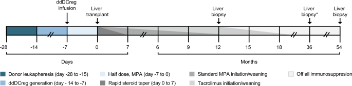 Fig. 1: Graphical representation of the study schematic & anticipated drug weaning schedule.