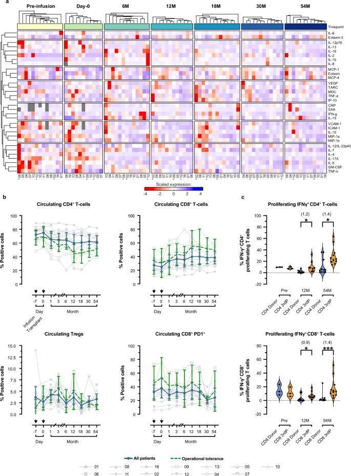 Fig. 6: Plasma mediator analysis and longitudinal immune cell dynamics from donor-derived regulatory dendritic cell (ddDCreg) infusion to the end of study.