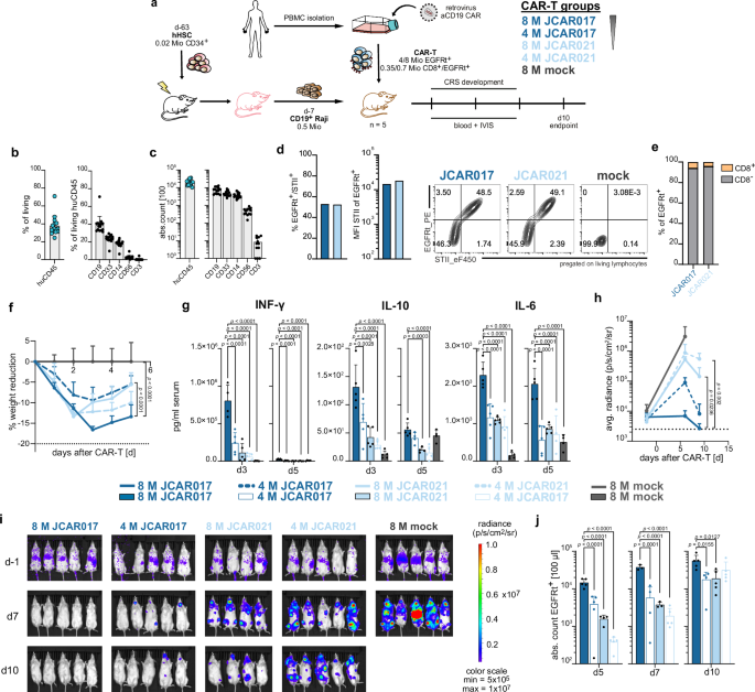 Fig. 4: CAR-T-cell-associated toxicities are influenced by T-cell dose and receptor affinity.