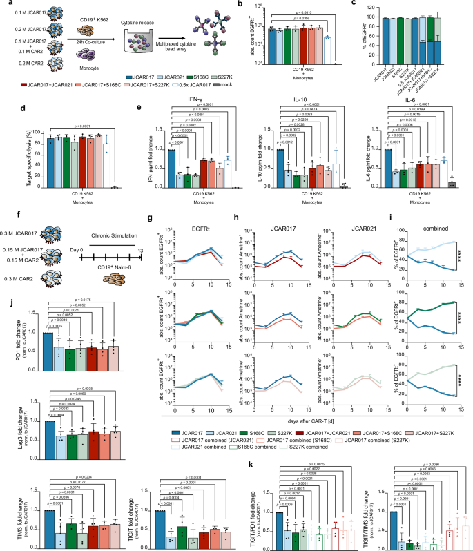 Fig. 5: High-affinity CAR-T cells show less signs of toxicities and exhaustion when combined with low-affinity CAR-T cells in vitro.