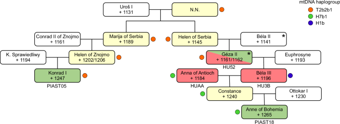 Fig. 5: The family tree showing the connections between the house of Piast and the Hungarian royal house of Árpád.