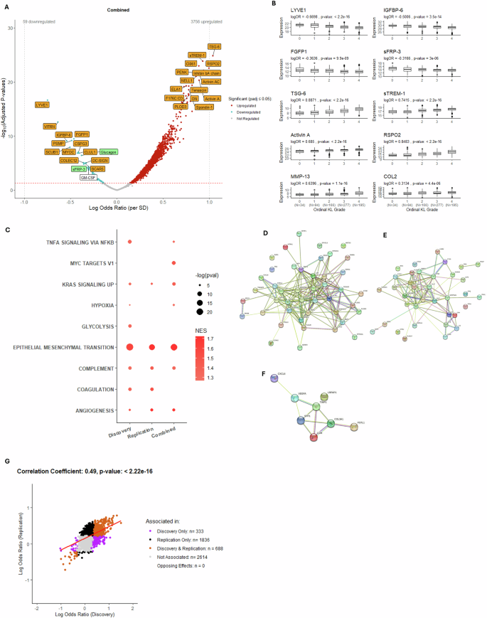 Fig. 2: Association between protein abundance and advanced radiographic knee OA status in non-IPS regressed data using logistic regression modelling.