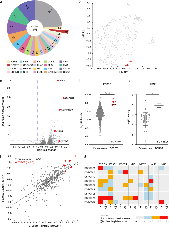 Fig. 4: Proteomic and phosphoproteomic analysis.