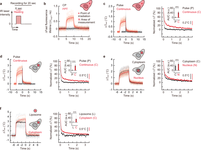Fig. 3: Monitoring temperature variation upon heating with IR laser in living COS7 cell and liposome.