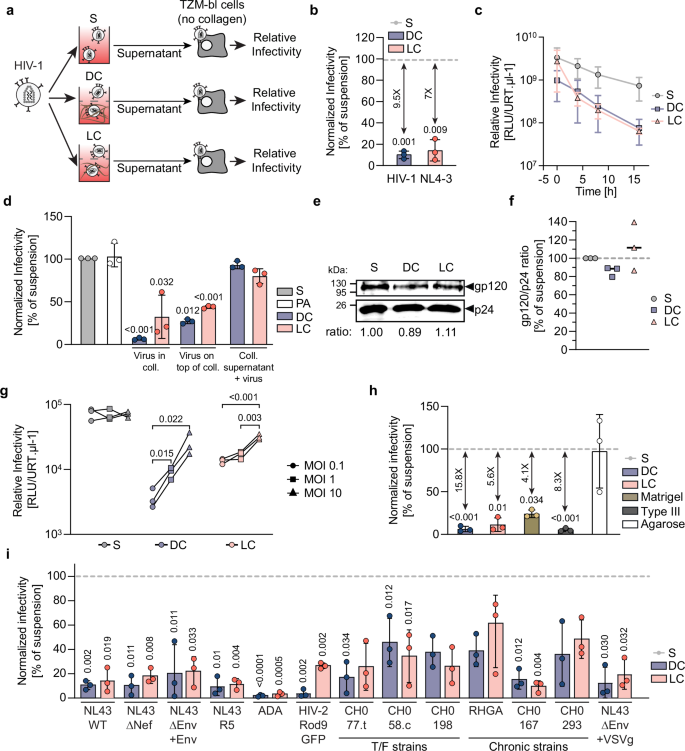 Fig. 1: ERVI is rapidly induced, saturable, and conserved across viruses and different types of matrices.